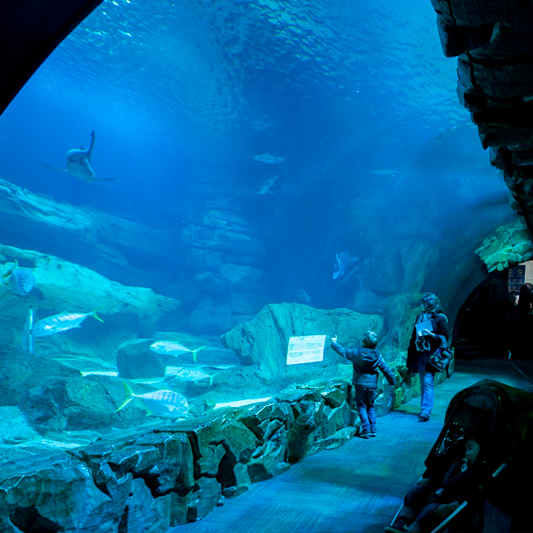 Interior del acuario de París.