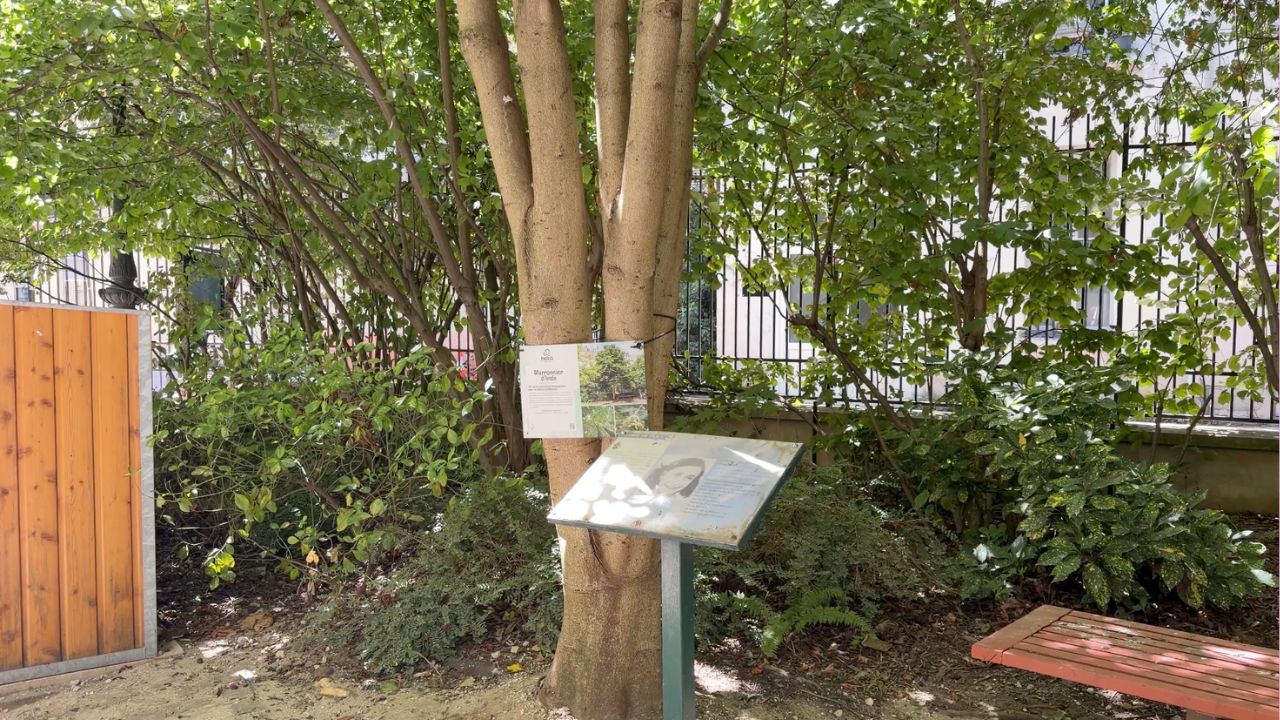 Jardín de Anne Frank. 